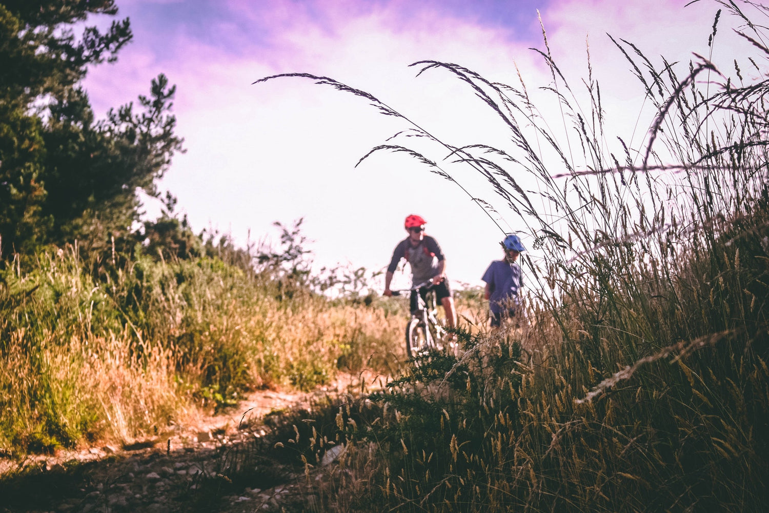 Iron-rich food for plant-based athletes